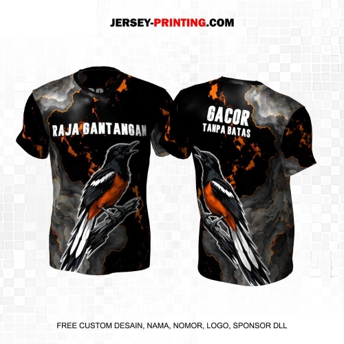 Jersey Farm Peternakan Burung Murai Kicau Hitam Abu Orange Motif Abstrak 92